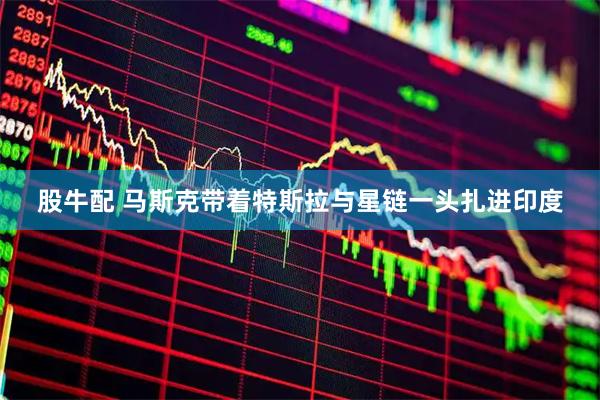 股牛配 马斯克带着特斯拉与星链一头扎进印度