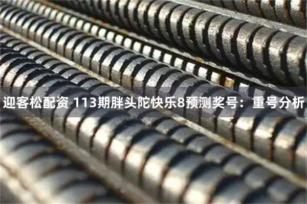 迎客松配资 113期胖头陀快乐8预测奖号：重号分析