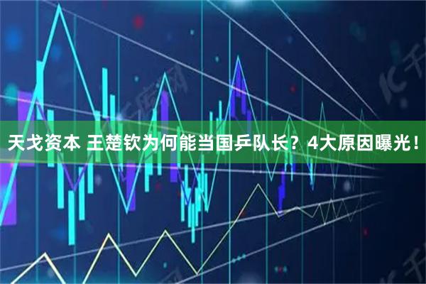 天戈资本 王楚钦为何能当国乒队长？4大原因曝光！