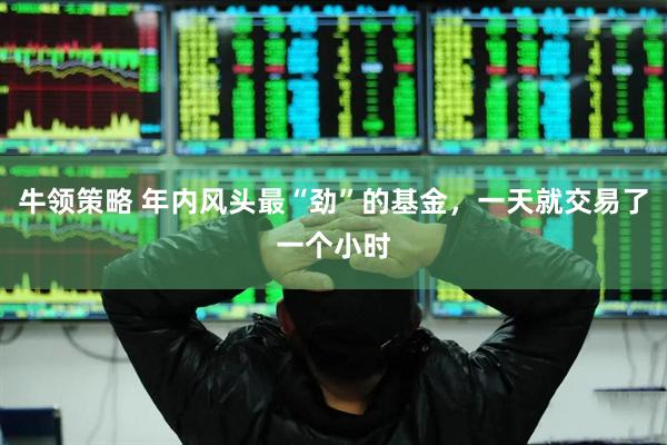 牛领策略 年内风头最“劲”的基金，一天就交易了一个小时